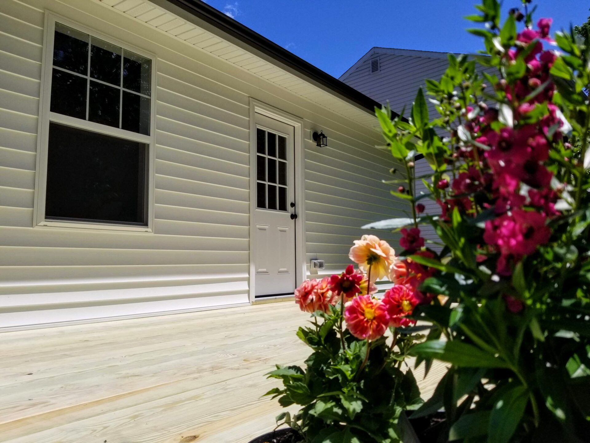 flowers on the outdoor area