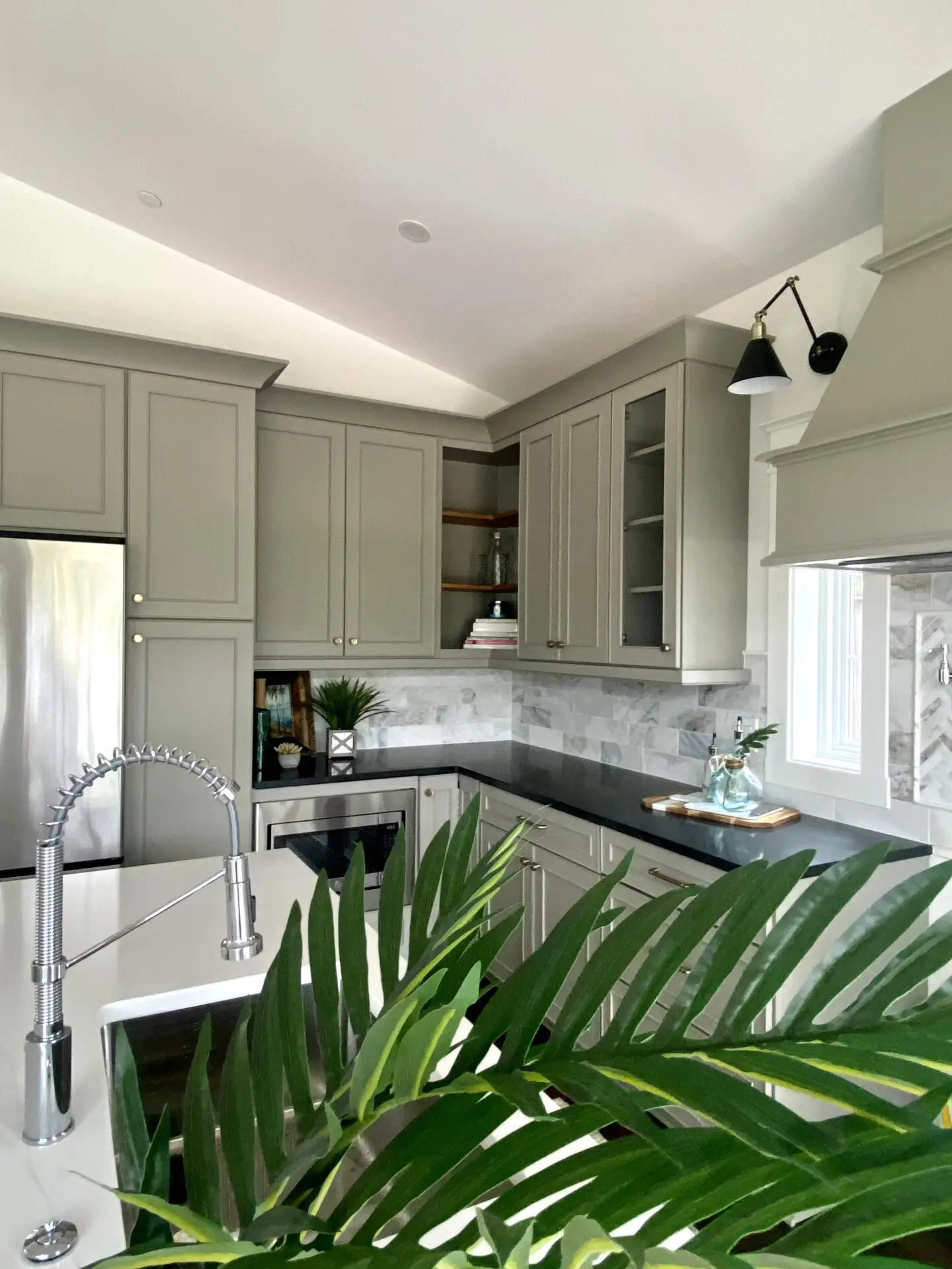 green plants in front of a modern kitchen